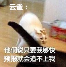 云雀叫了好几天,终于在上海登陆了浙江成了暴雨最大的地方还有一个坏消息