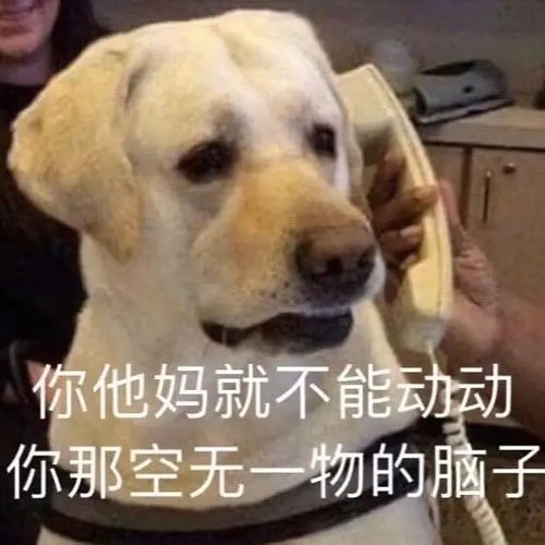 有没有人恐弹幕了