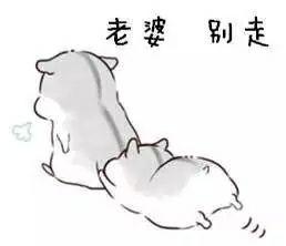 哄女朋友起床表情包表情包