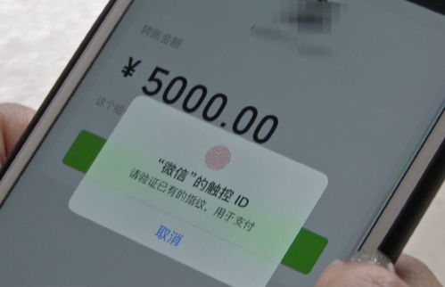 扬州人,你确定你的微信好友是真的吗当心被骗