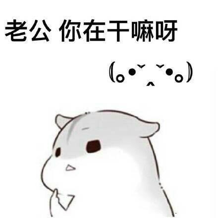 搞笑段子集一步一个台阶,成功其实很简单,共勉,哈哈哈哈茶杯