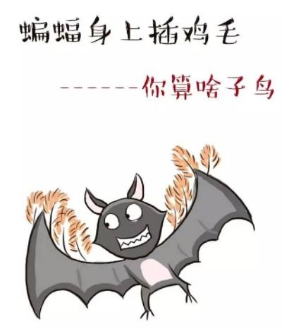 你知道哪些怼人搞笑的歇后语