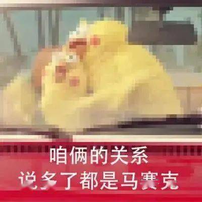 撩妹专用表情包今晚那个吗