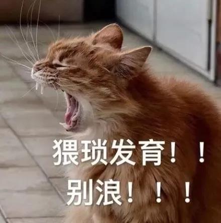 程序员卷起来,35岁怎么惨,但怎么还这么多钱