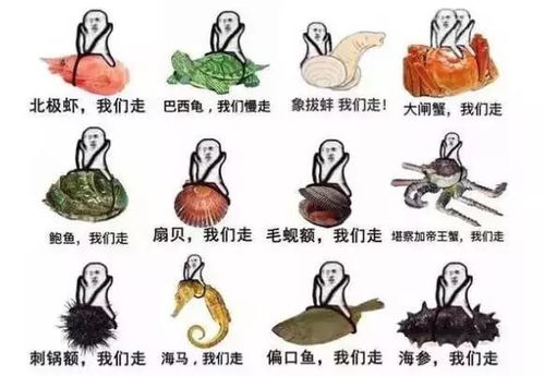 2017年度盘点丨这些屌得不行的商标,结局都如何了