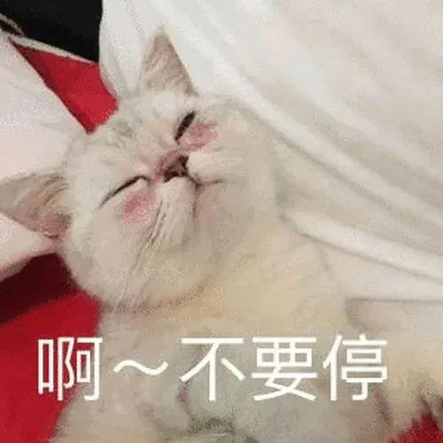 我要出去玩了的表情包不让