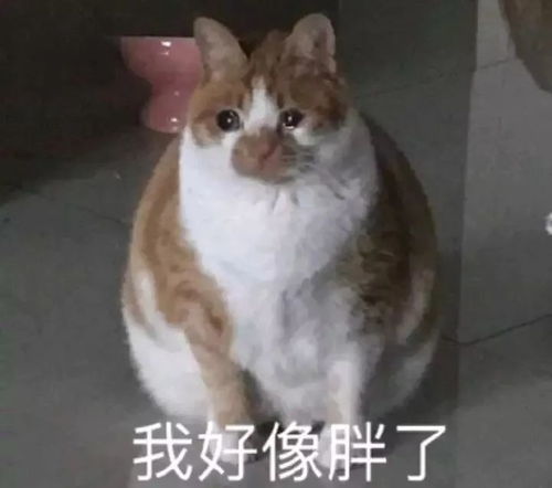 叮咚你收到一篇暑假小tips