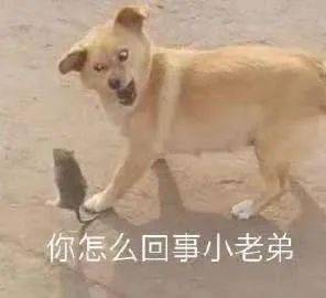 测一测快来看那些年考过的气象类试题你能答对几道