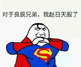 我叫叶良辰走红引王思聪pk叶良辰是谁曝资料语录与表情包