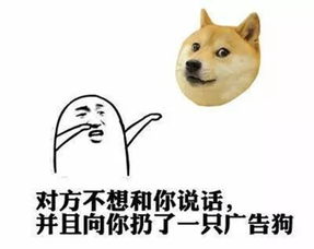 佟掌柜女儿上中戏,还记得武林外传里那些广告狗吗