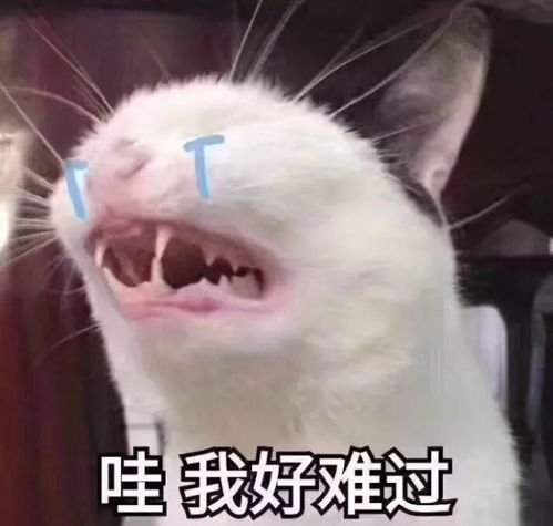 今天忘穿内衣了这个日本内衣,舒适到像是与自己进行二次接触