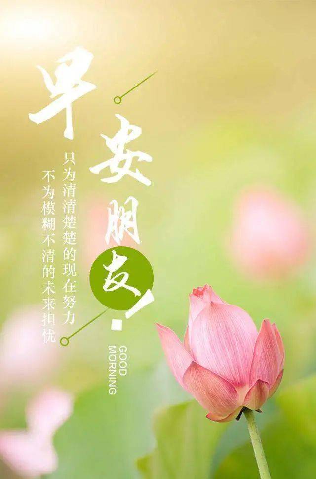 11月23日早上发朋友圈激励人心的好句子