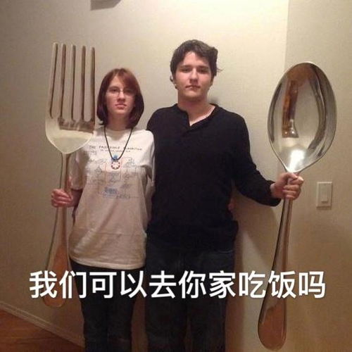 我家西安人,不太会做饭