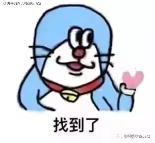 术语在线让医学更专业,顺便也推荐几个术语库吧