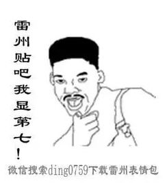 雷死不偿命雷州话本土原创表情二