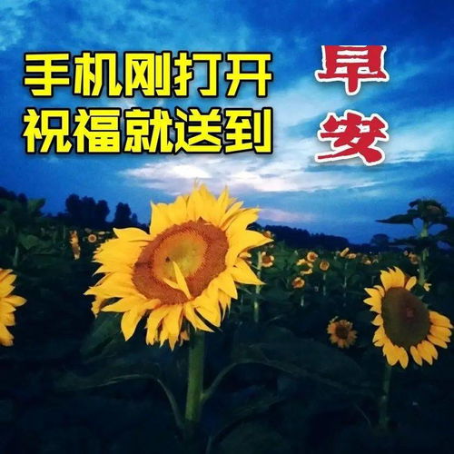 2021年早上好表情包祝福语