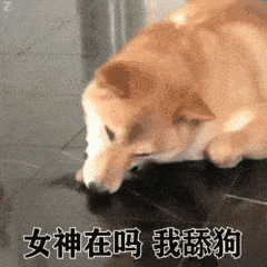 你的舔狗已上线,请签收