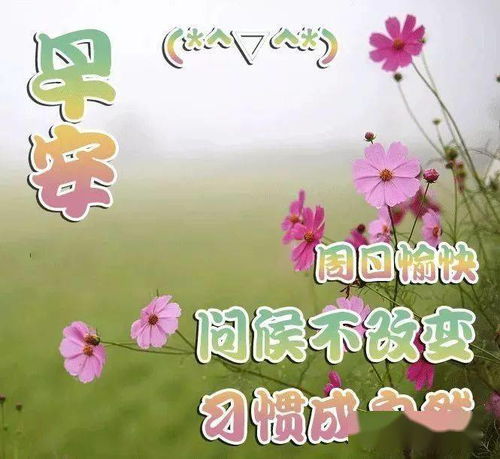 最新版非常漂亮的早上好表情图片温馨早安心语语录