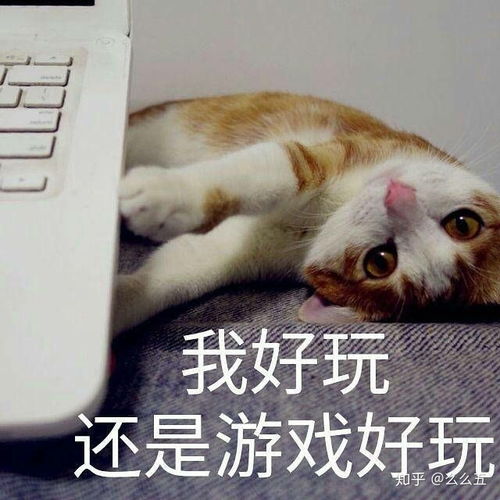 有什么可爱的情侣表情包