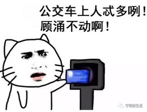 乔喜人宁阳人独家专属表情包来了以后聊天就靠它了