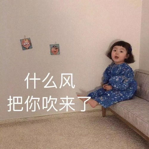 什么风把你吹来了罗熙朋友圈背景图背景图罗熙朋友圈什么表情