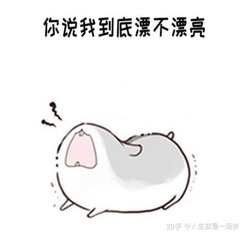 仓鼠表情包男生最讨厌女生说的几句话仓鼠表情包