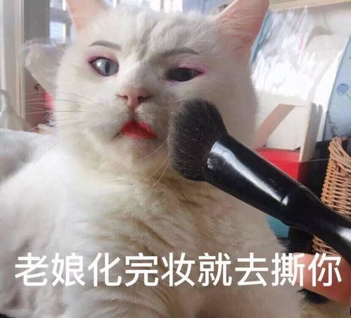 这是朕的天下了表情包沈眉庄