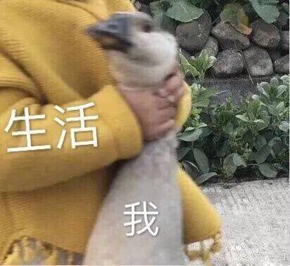脱单了脱单了,我终于脱单了每日搞笑段子