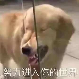 他还只是个萌新啊你对萌新的态度如何