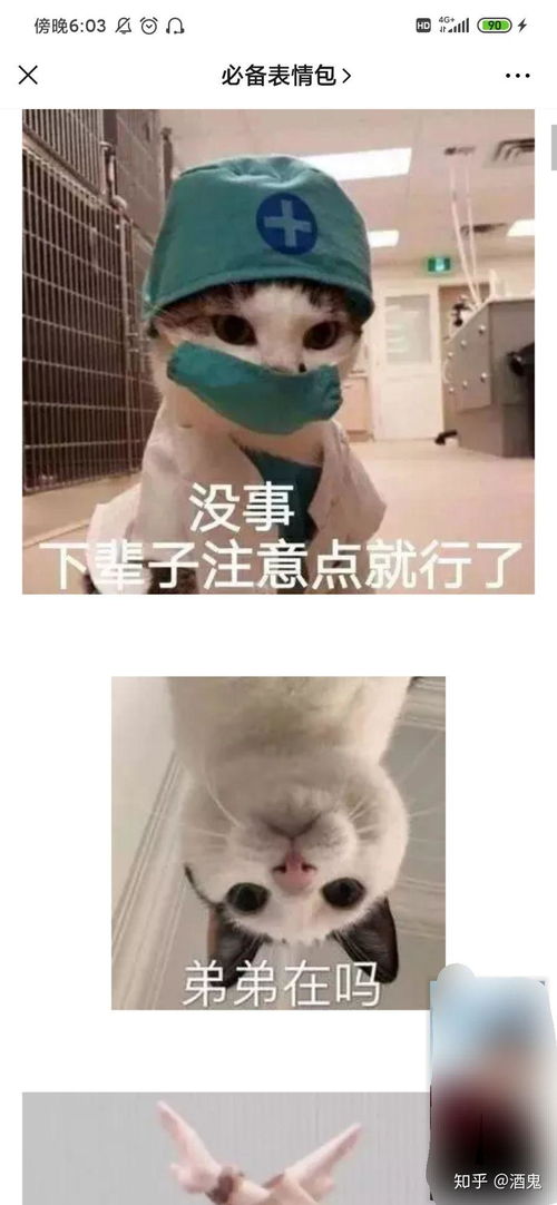有什么可以打开话题的表情包