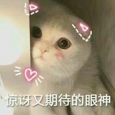 我的收藏夹