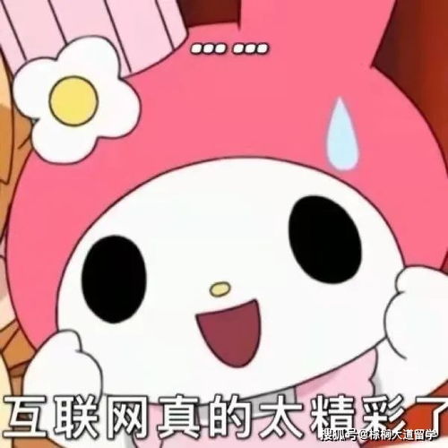 每个留学生,都是一块夹心饼干美国