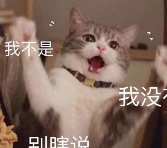 买猫一时爽,养猫火葬场的几种猫,养了都说后悔了