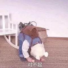 英子表情包100张各种场景都适用的表情包动图,让你无法拒绝聊天超有用