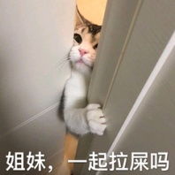 有什么可以打开话题的表情包