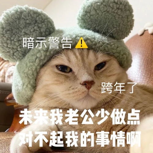 让人笑趴的新年沙雕表情包