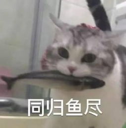 小伙湖边钓鱼时捡到一块黑石头,专家清代文物
