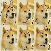 doge表情包原图微信头像图片大全