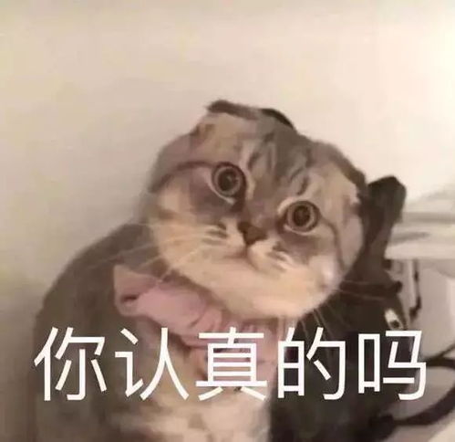 聊天斗图表情包精选