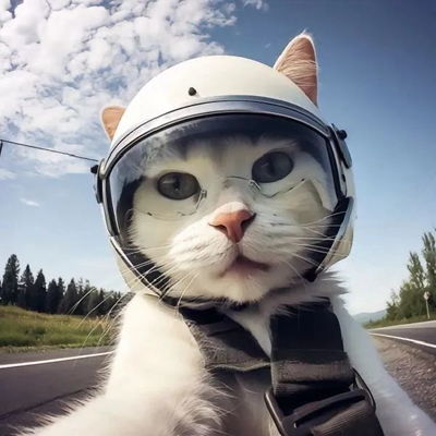 2023最新动感刺激猫咪微信头像