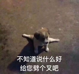 恶搞醒来又是一场xx表情包大全某队太扎心