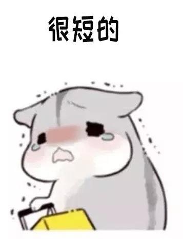 仓鼠打电话表情包你先别挂电话啦