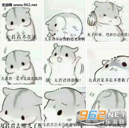 夫君君小娘子表情包夫君君仓鼠表情包下载乐游网游戏下载