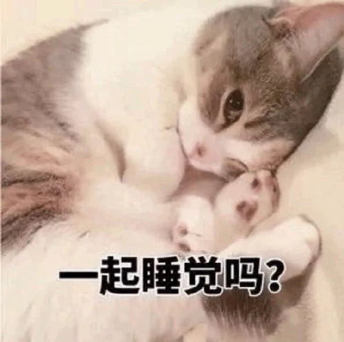 表情包我躺好了你来吧