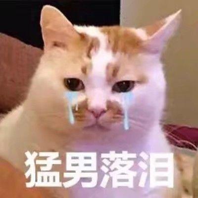 抖音土味情话表情包转基因动物