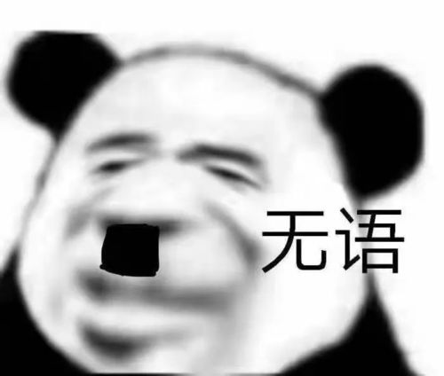 沙雕熊猫头嗨,没人要的小宝贝