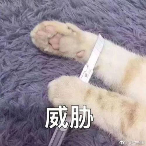 微信名表情包微信表情包