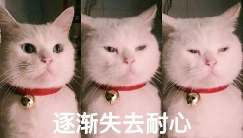一大批90后脱发告急,杨幂唐嫣这对塑料姐妹花也共患难