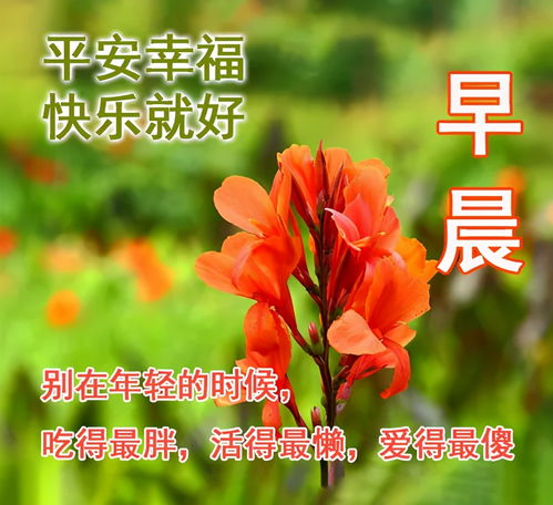 早上好祝福动画表情动态图最美夏日清晨早上好问候语
