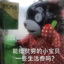 各种各样的表情包考研